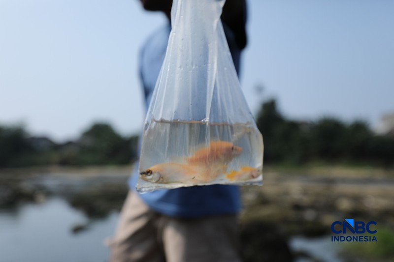 Dampak kemarau panjang membuat aliran Sungai Cisadane pintu 10 di Kota Tangerang, Banten menyusut drastis, Jumat (24/7/2026). (CNBC Indonesia/Tri Susilo)
