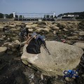Dampak kemarau panjang membuat aliran Sungai Cisadane pintu 10 di Kota Tangerang, Banten menyusut drastis, Jumat (24/7/2026). (CNBC Indonesia/Tri Susilo)