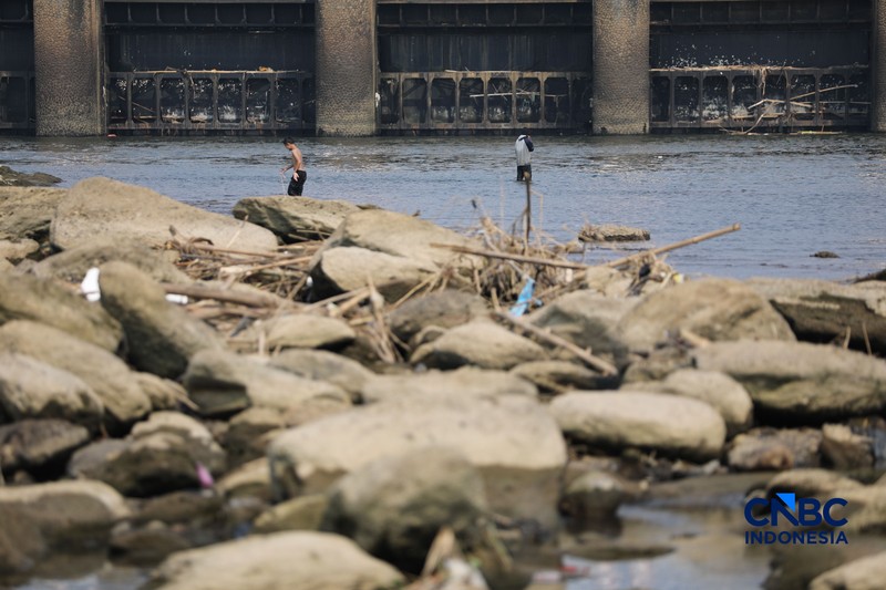 Dampak kemarau panjang membuat aliran Sungai Cisadane pintu 10 di Kota Tangerang, Banten menyusut drastis, Jumat (24/7/2026). (CNBC Indonesia/Tri Susilo)