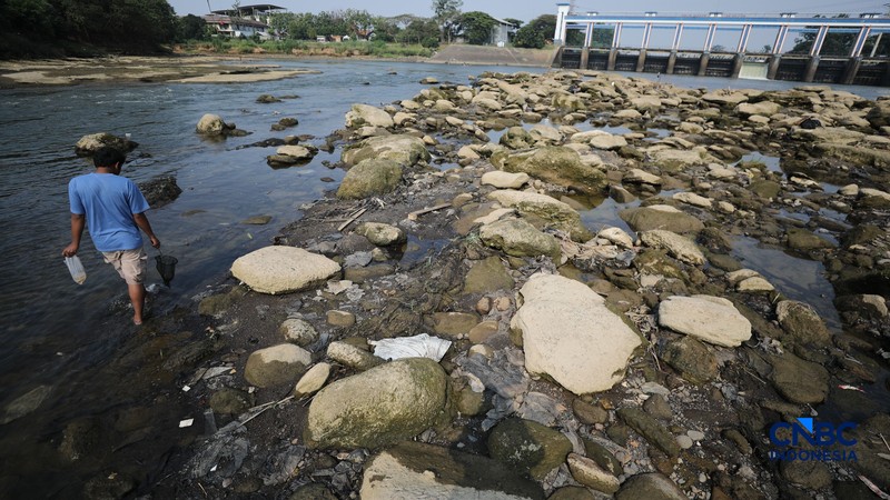 Dampak kemarau panjang membuat aliran Sungai Cisadane pintu 10 di Kota Tangerang, Banten menyusut drastis, Jumat (24/7/2026). (CNBC Indonesia/Tri Susilo)