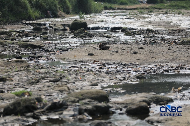 Dampak kemarau panjang membuat aliran Sungai Cisadane pintu 10 di Kota Tangerang, Banten menyusut drastis, Jumat (24/7/2026). (CNBC Indonesia/Tri Susilo)