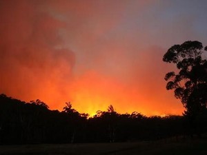Bencana Kebakaran Hutan yang Bikin Australia Gelap