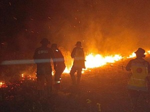 Karhutla Beruntun di Pantai Lunci Sukamara, 30 Hektare Lahan Terbakar