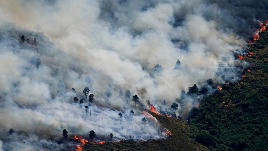 Pemandangan kebakaran hutan yang menyebar di pegunungan Burgohondo, di Avila, Spanyol, 23 Juli 2026. (REUTERS/Ana Beltran)