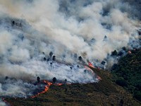 Pemandangan kebakaran hutan yang menyebar di pegunungan Burgohondo, di Avila, Spanyol, 23 Juli 2026. (REUTERS/Ana Beltran)