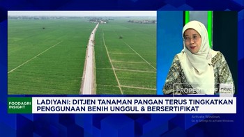 Produksi Bisa Naik 2 Kali Lipat, Kementan Ajak Petani Pakai Benih Unggul & Bersertifikat