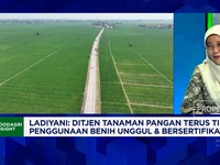 Produksi Bisa Naik 2 Kali Lipat, Kementan Ajak Petani Pakai Benih Unggul & Bersertifikat