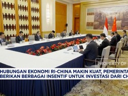 RI-China Makin Kuat, Pemerintah Berikan Insentif Investasi dari China