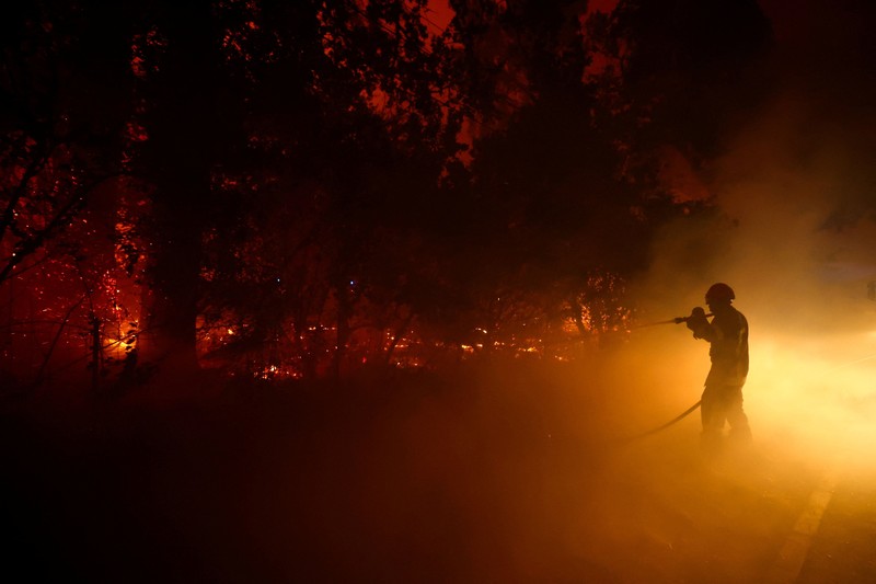 Seorang petugas pemadam kebakaran berupaya memadamkan api saat terjadi kebakaran hutan di Lege-Cap-Ferret di departemen Gironde di tengah memburuknya kondisi kekeringan setelah gelombang panas dan kekurangan air di sebagian besar wilayah Prancis, 23 Juli 2026. (REUTERS/Stephane Mahe)
