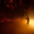 Seorang petugas pemadam kebakaran berupaya memadamkan api saat terjadi kebakaran hutan di Lege-Cap-Ferret di departemen Gironde di tengah memburuknya kondisi kekeringan setelah gelombang panas dan kekurangan air di sebagian besar wilayah Prancis, 23