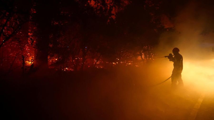 Seorang petugas pemadam kebakaran berupaya memadamkan api saat terjadi kebakaran hutan di Lege-Cap-Ferret di departemen Gironde di tengah memburuknya kondisi kekeringan setelah gelombang panas dan kekurangan air di sebagian besar wilayah Prancis, 23