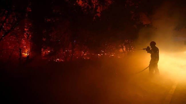 Ratusan Orang Ditangkap terkait Kebakaran Hutan, Motifnya Tak Terduga