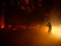 Seorang petugas pemadam kebakaran berupaya memadamkan api saat terjadi kebakaran hutan di Lege-Cap-Ferret di departemen Gironde di tengah memburuknya kondisi kekeringan setelah gelombang panas dan kekurangan air di sebagian besar wilayah Prancis, 23
