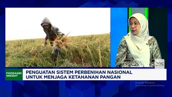 Waspadai Kondisi Darurat, Kementan Perkuat Cadangan Benih Nasional