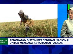 Waspadai Kondisi Darurat, Kementan Perkuat Cadangan Benih Nasional
