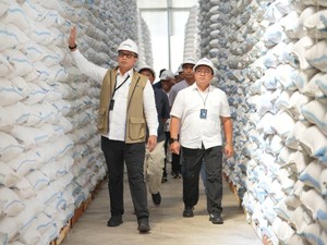 BULOG Berhasil Serap 3,5 Juta Ton Setara Beras Petani