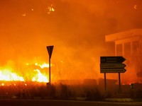 Api berkobar selama kebakaran hutan di La Vall d'Uixo, Castellon, Spanyol, 25 Juli 2026. REUTERS/Eva Manez