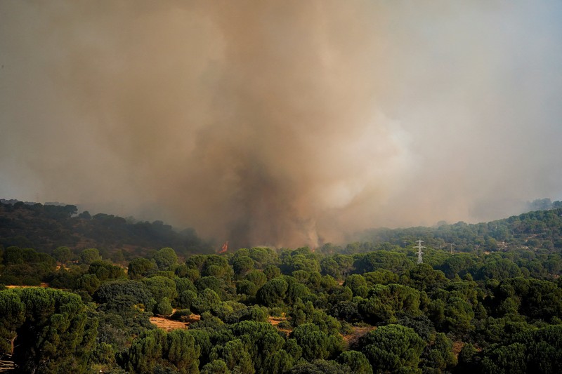 kebakaran hutan di San Martin de Valdeiglesias, Avila, Spanyol, Minggu (26/7/2026). (REUTERS/Ana Beltran)
