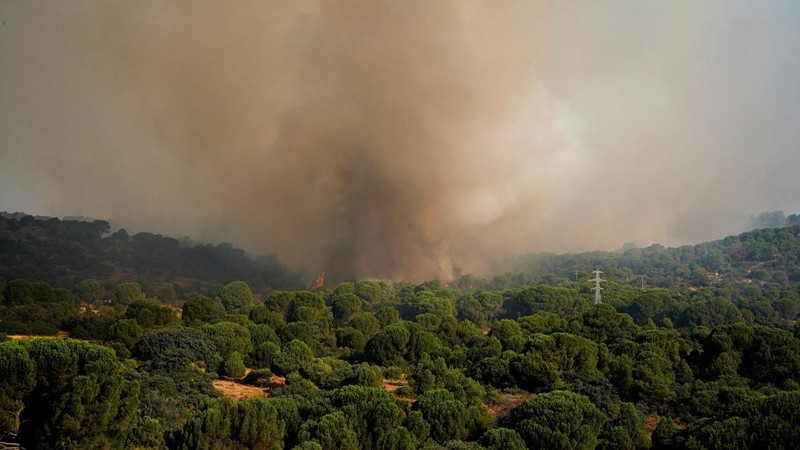 kebakaran hutan di San Martin de Valdeiglesias, Avila, Spanyol, Minggu (26/7/2026). (REUTERS/Ana Beltran)