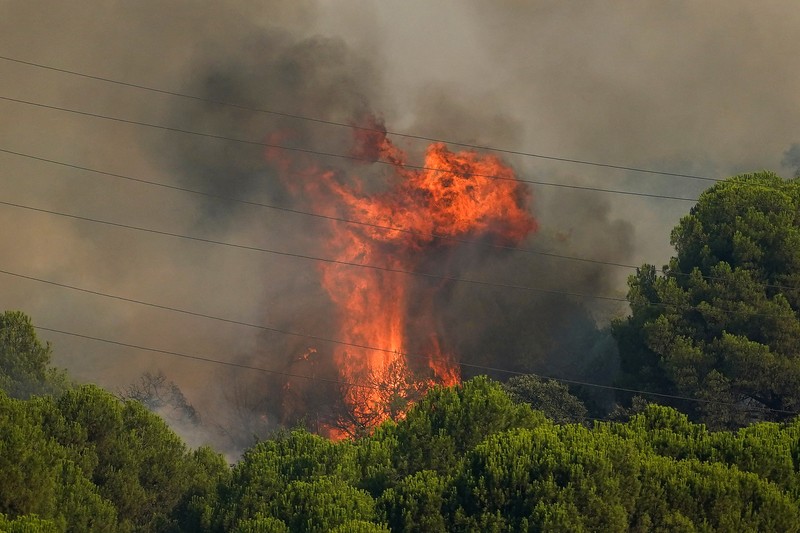 kebakaran hutan di San Martin de Valdeiglesias, Avila, Spanyol, Minggu (26/7/2026). (REUTERS/Ana Beltran)