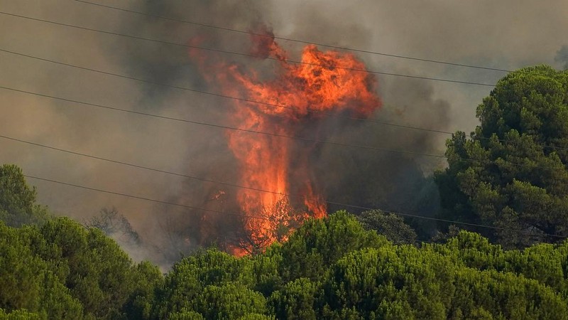 kebakaran hutan di San Martin de Valdeiglesias, Avila, Spanyol, Minggu (26/7/2026). (REUTERS/Ana Beltran)