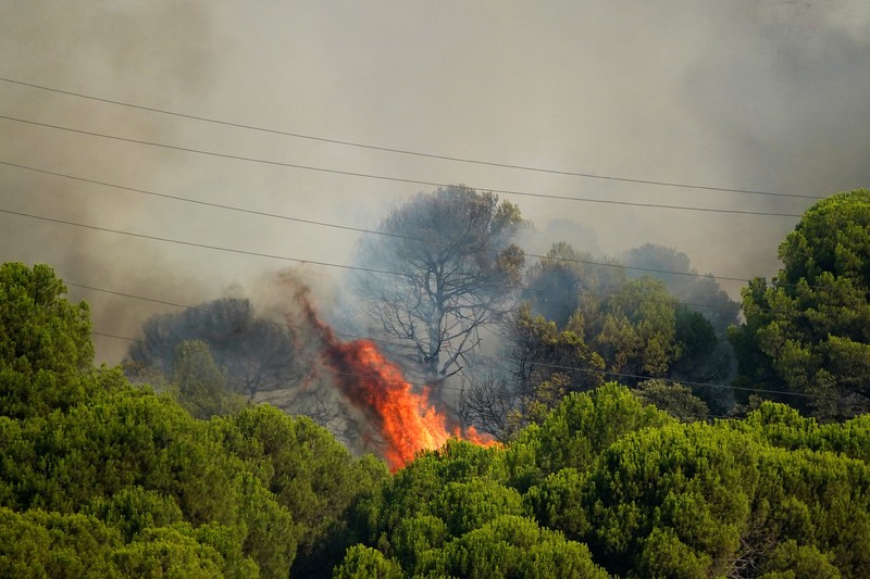 kebakaran hutan di San Martin de Valdeiglesias, Avila, Spanyol, Minggu (26/7/2026). (REUTERS/Ana Beltran)