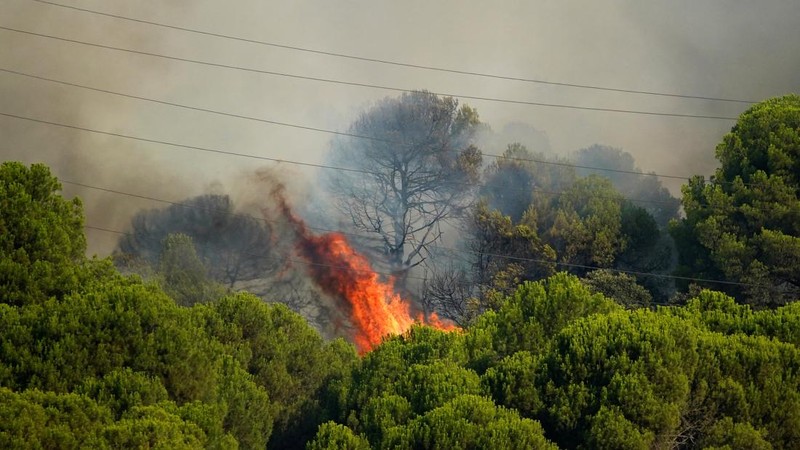 kebakaran hutan di San Martin de Valdeiglesias, Avila, Spanyol, Minggu (26/7/2026). (REUTERS/Ana Beltran)