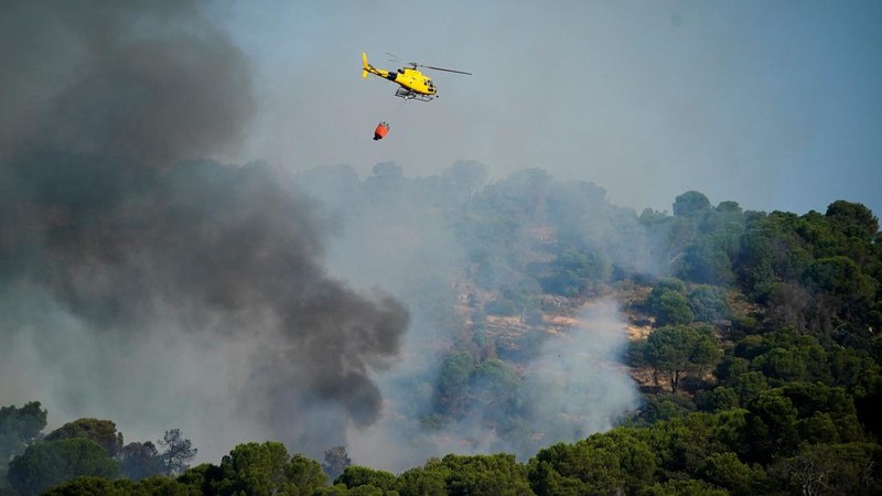 kebakaran hutan di San Martin de Valdeiglesias, Avila, Spanyol, Minggu (26/7/2026). (REUTERS/Ana Beltran)
