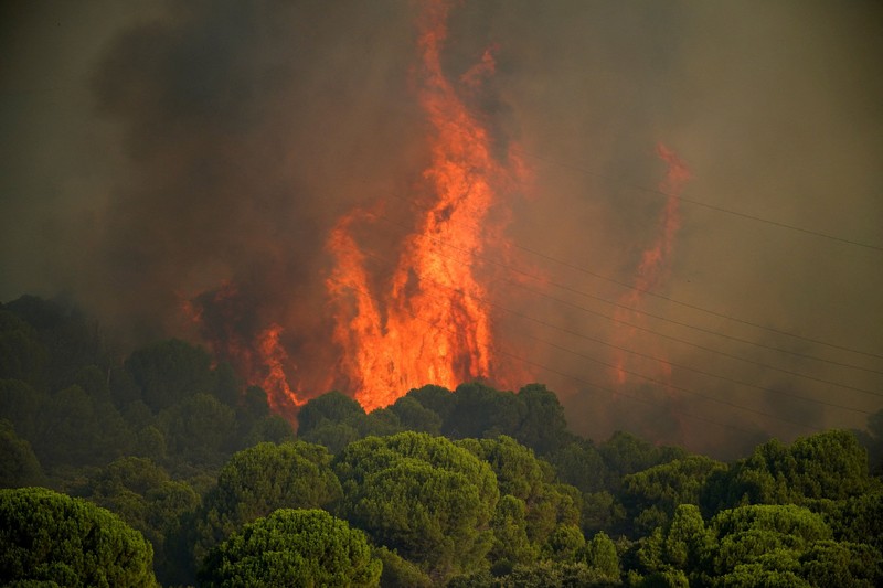 kebakaran hutan di San Martin de Valdeiglesias, Avila, Spanyol, Minggu (26/7/2026). (REUTERS/Ana Beltran)