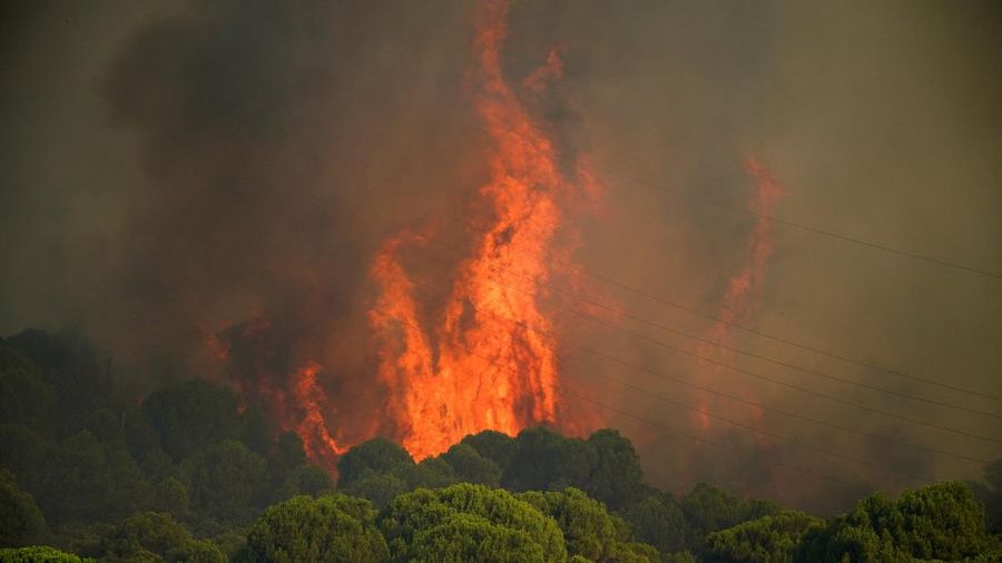 kebakaran hutan di San Martin de Valdeiglesias, Avila, Spanyol, Minggu (26/7/2026). (REUTERS/Ana Beltran)
