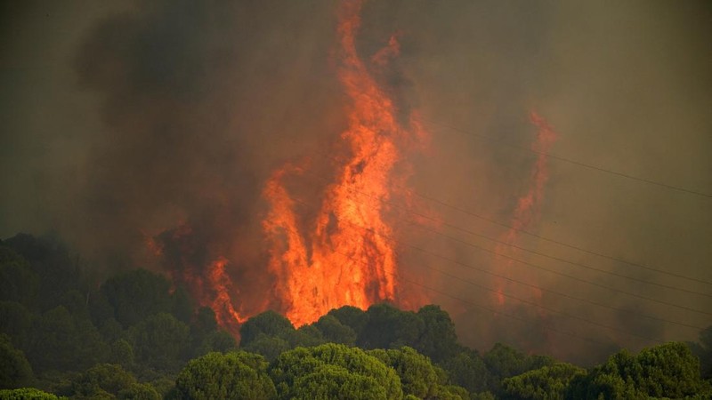 kebakaran hutan di San Martin de Valdeiglesias, Avila, Spanyol, Minggu (26/7/2026). (REUTERS/Ana Beltran)