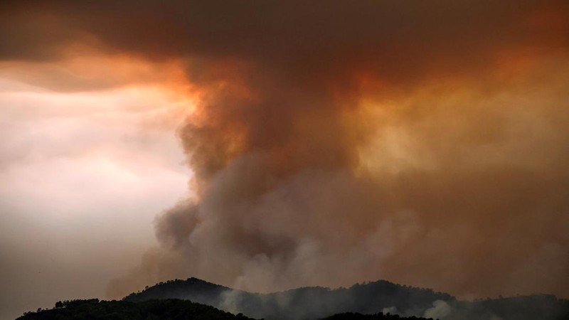 Asap mengepul dari kebakaran hutan yang meluas di Betxi, Spanyol, 26 Juli 2026.