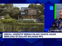 DPR Sebut Bebas Pajak 50 Tahun Jadi Daya Tarik Investasi di PFII