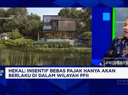 DPR Sebut Bebas Pajak 50 Tahun Jadi Daya Tarik Investasi di PFII