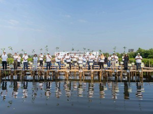 Libatkan 50.000 Pengguna, Shopee Tanam 2.000 Bibit Mangrove di Jakarta