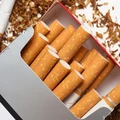 Ilustrasi bungkus rokok. (Istimewa)