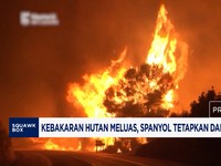 Kebakaran Hutan Meluas, Spanyol Tetapkan Darurat Nasional