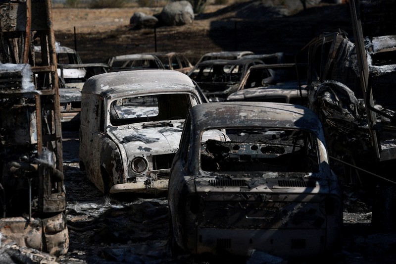 Seorang pria dan anjingnya melihat kebakaran hutan di pegunungan di Onda, Spanyol, 27 Juli 2026. (REUTERS/Pedro Nunes)