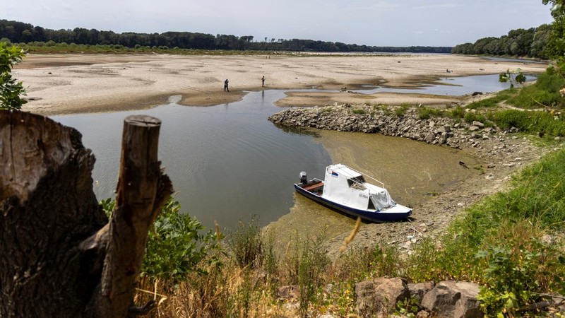 Orang-orang berdiri di atas gundukan pasir yang baru muncul di Sungai Danube saat permukaan air menurun selama cuaca panas dan kondisi kering yang berkepanjangan, di Apatin, Serbia, 26 Juli 2026.