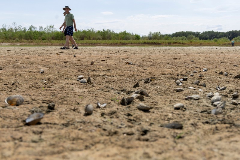 Sebuah marina dengan dasar sungai yang mengering di muara Sungai Danube karena permukaan air menurun selama cuaca panas berkepanjangan dan kondisi kering, di Apatin, Serbia, 26 Juli 2026. (REUTERS/Djordje Kojadinovic)