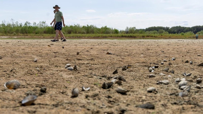 Orang-orang berjalan melewati cangkang kerang di tepian pasir yang baru muncul di Sungai Danube saat permukaan air menurun selama cuaca panas dan kondisi kering yang berkepanjangan, di Apatin, Serbia, 26 Juli 2026.