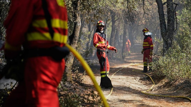 Para anggota Unit Kedaruratan Militer (UME) membersihkan area setelah memadamkan kebakaran di San Martin de Valdeiglesias, Madrid, Spanyol, 26 Juli 2026.