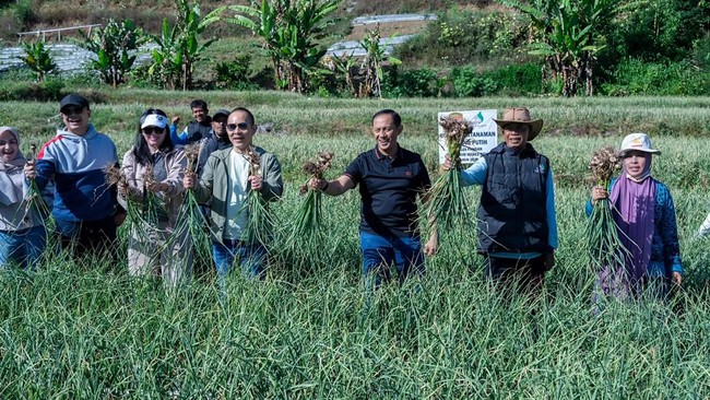 Polri Patahkan Stigma, Lawan Impor Sukses Tanam Bawang Putih di Lombok