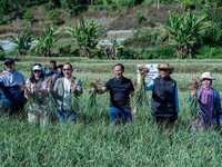 Satgas Pangan Polri terus memperkuat upaya mendukung program swasembada pangan nasional melalui pengembangan budidaya bawang putih di Kecamatan Sembalun, Kabupaten Lombok Timur, Nusa Tenggara Barat (NTB), Minggu (26/7/2026). (Istimewa)