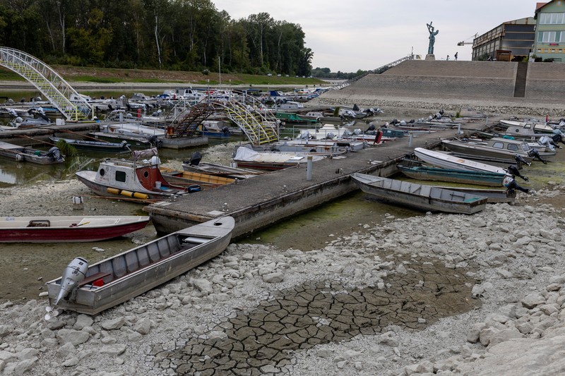 Sebuah marina dengan dasar sungai yang mengering di muara Sungai Danube karena permukaan air menurun selama cuaca panas berkepanjangan dan kondisi kering, di Apatin, Serbia, 26 Juli 2026. (REUTERS/Djordje Kojadinovic)