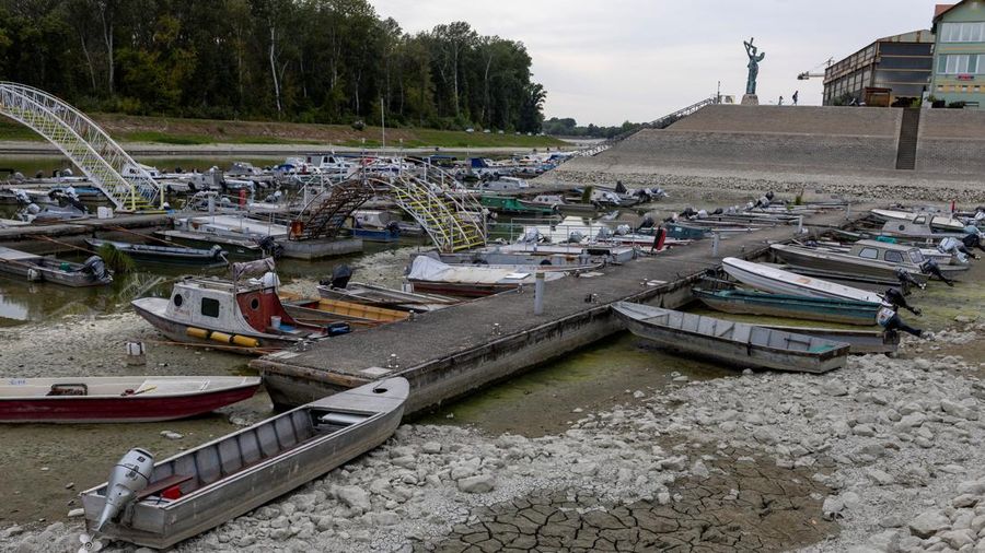 Sebuah marina dengan dasar sungai yang mengering di muara Sungai Danube karena permukaan air menurun selama cuaca panas berkepanjangan dan kondisi kering, di Apatin, Serbia, 26 Juli 2026. (REUTERS/Djordje Kojadinovic)