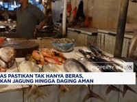 Zulhas Pastikan Pasokan Jagung hingga Daging Aman