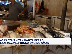 Zulhas Pastikan Pasokan Jagung hingga Daging Aman