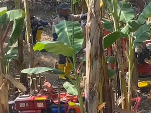 Heboh Rencana Penambangan Batu Kapur di Bandung Barat Ancam Mata Air