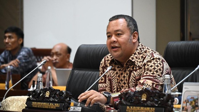 Terungkap Faktor Krusial Dibalik Penyusunan UU PFII Selesai 3 Bulan